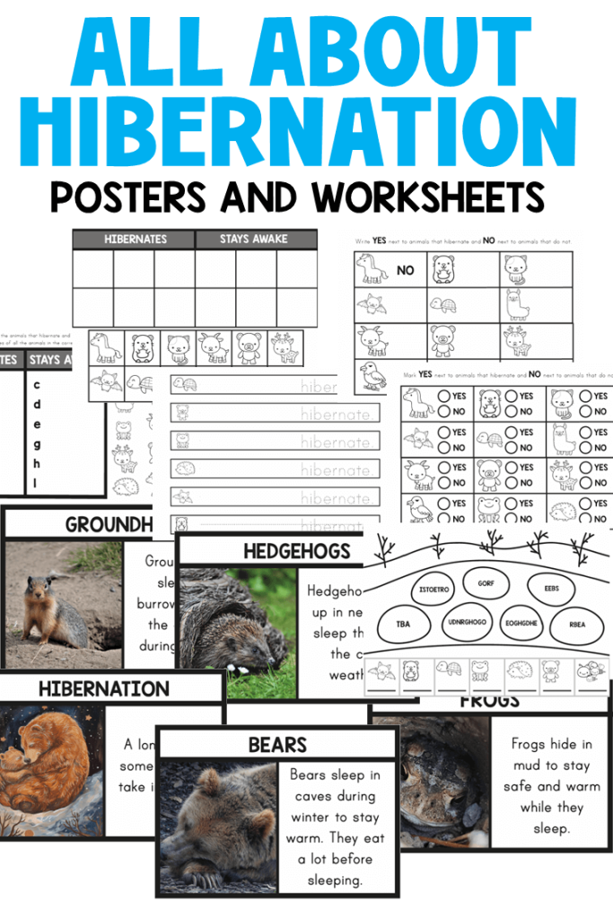 hibernation activities for kindergarten, preschool annd first grade