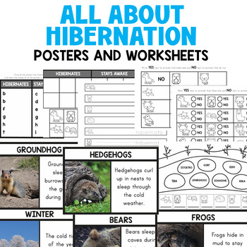 Hibernation preschool activities, Pre-K, Kinder, Animals in Winter Activities