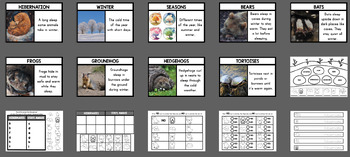 Hibernation preschool activities, Pre-K, Kinder, Animals in Winter Activities