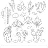 Cactus reading comprehension, Cactus nonfiction reading and cactus craft